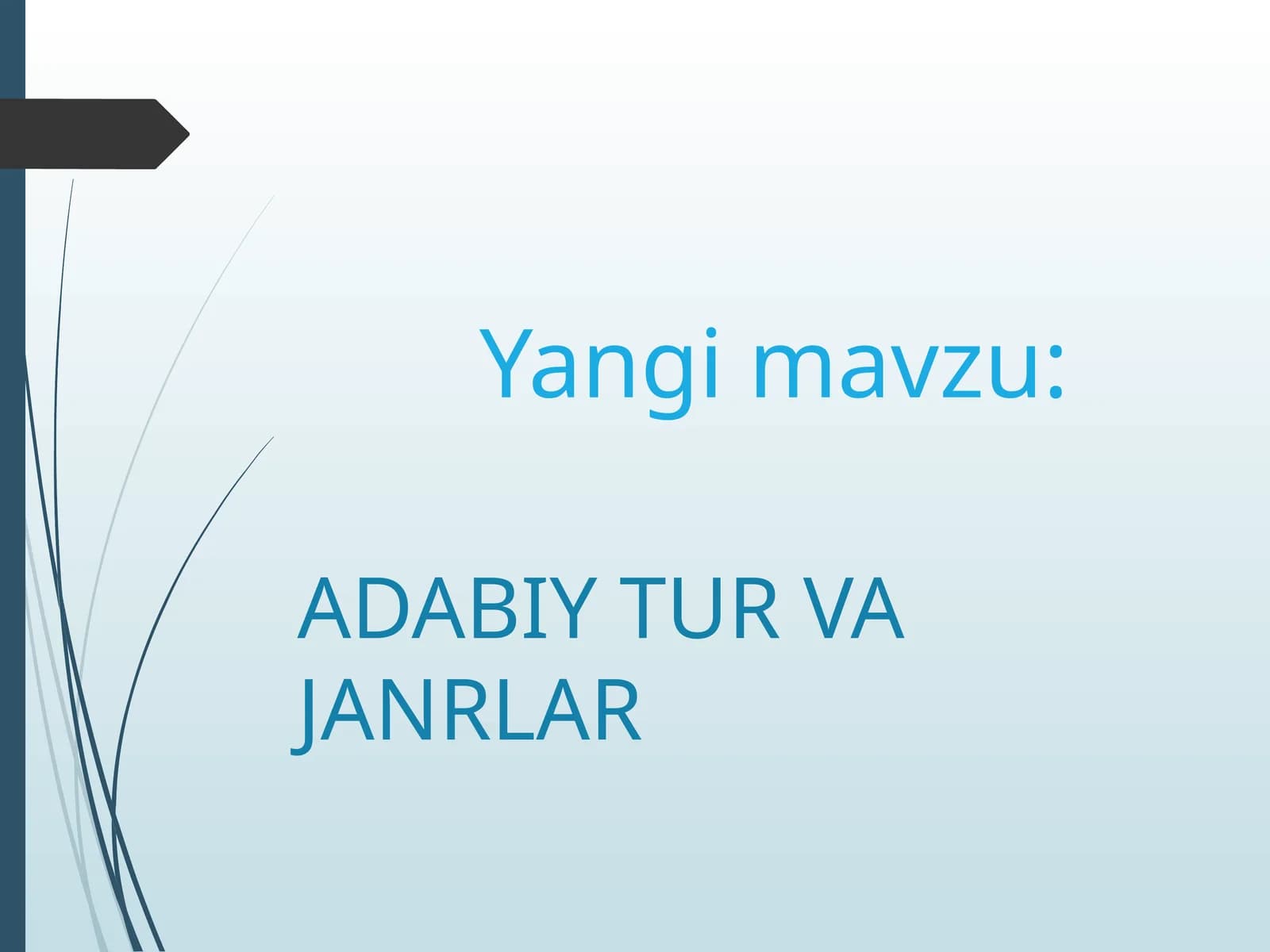 ADABIY TUR VA JANRLAR