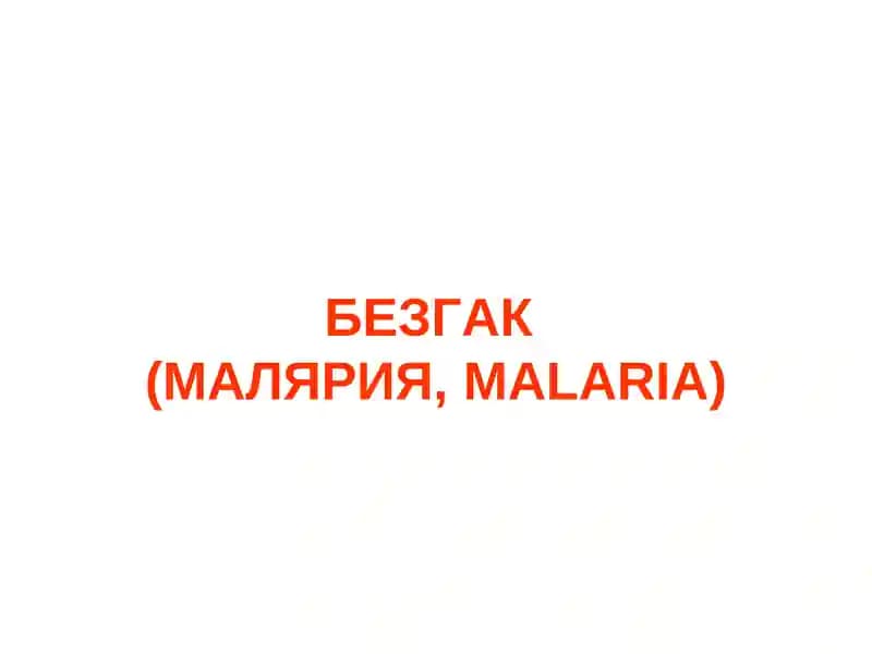BEZGAK MALYARIYA, MALARIA