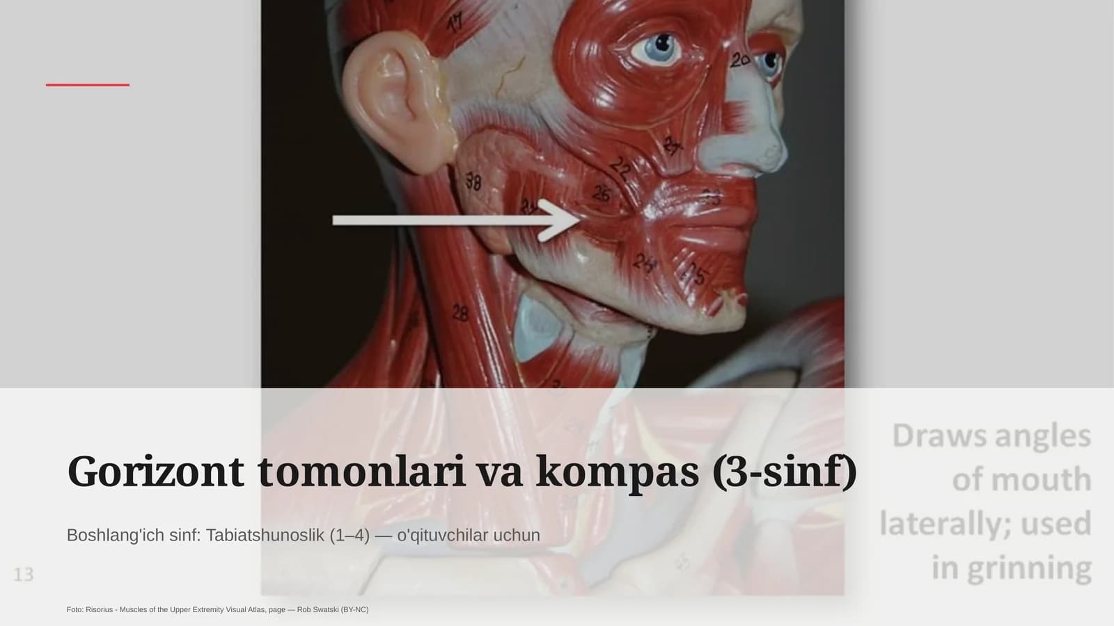 Gorizont tomonlari va kompas (3-sinf)