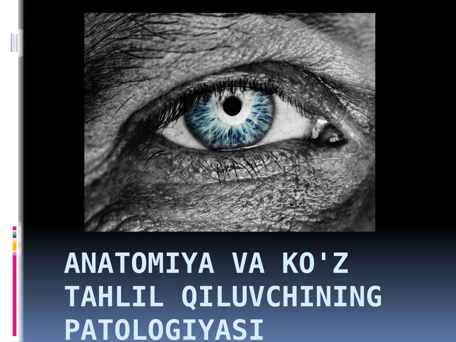 Ko'rish analizatori anatomiyasi va patologiyasi