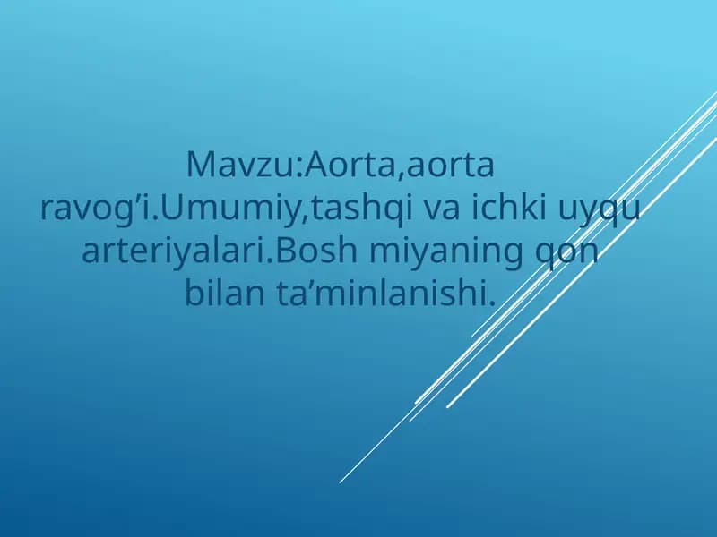 Aorta va aorta ravogi