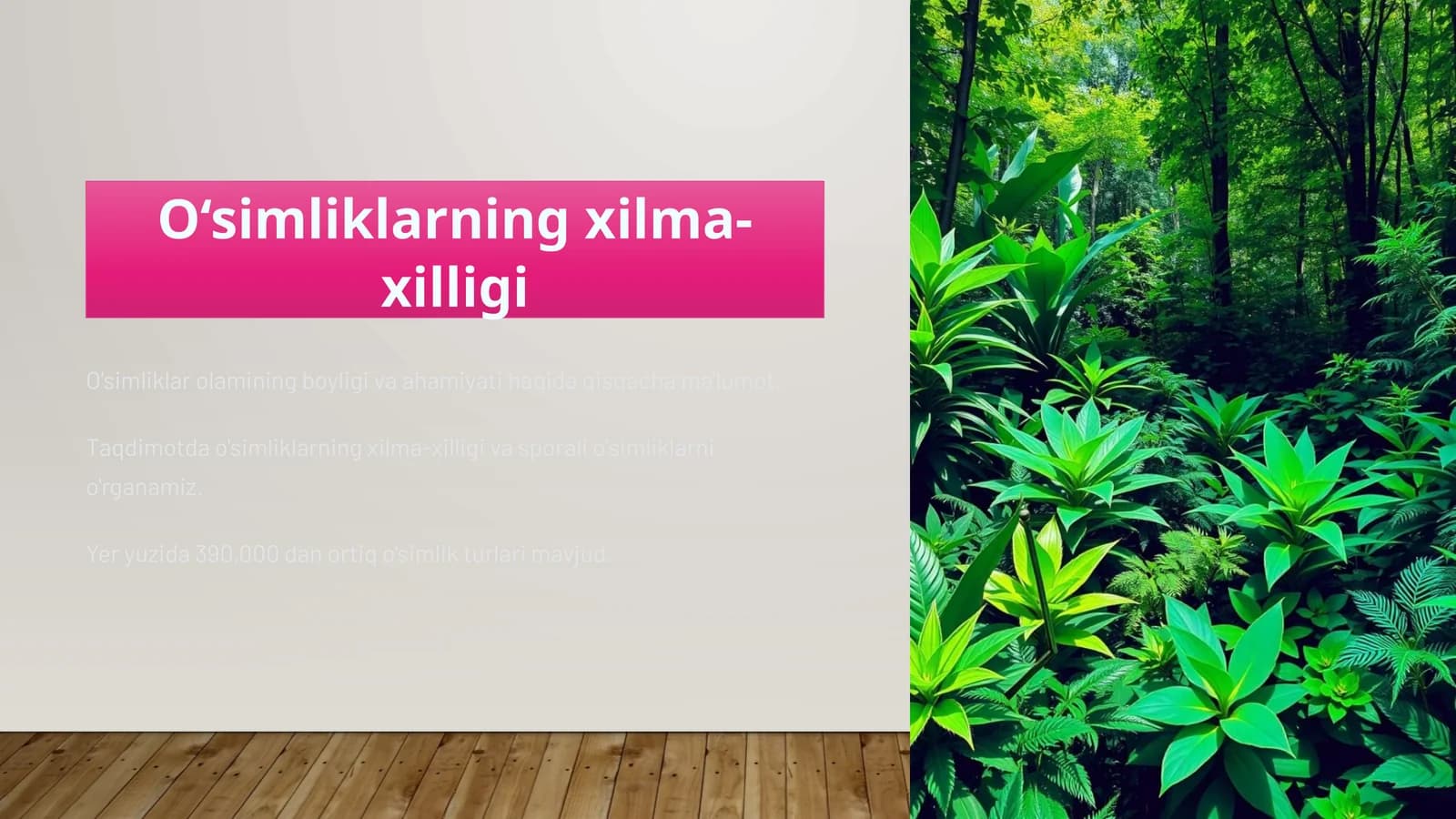 O'simliklarning xilma-xilligi va ahamiyati