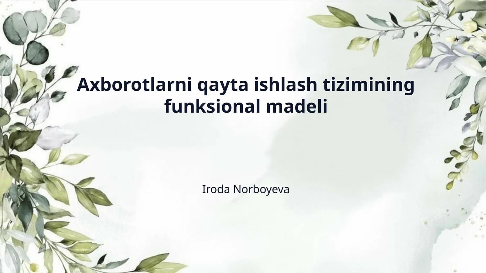 Axborotlarni qayta ishlash tizimining funksional madeli