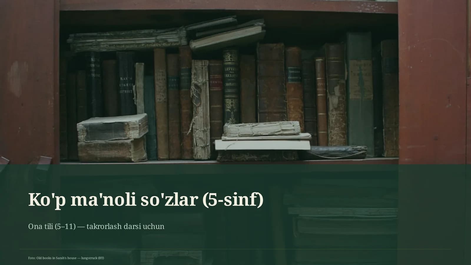 Ko'p ma'noli so'zlar (5-sinf)
