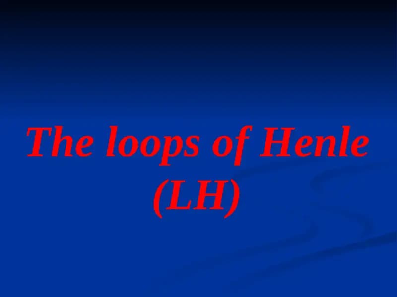 Loops of Henle (LH)