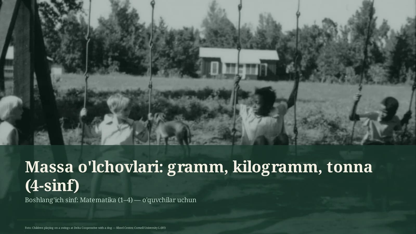 O'lchovlar va Massalar