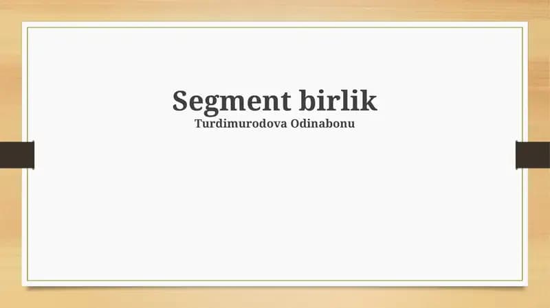 Segment birlik