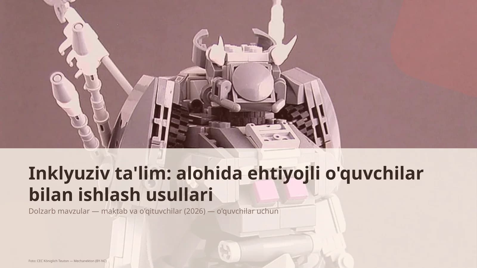 Inklyuziv ta'lim: alohida ehtiyojli o'quvchilar bilan ishlash usullari