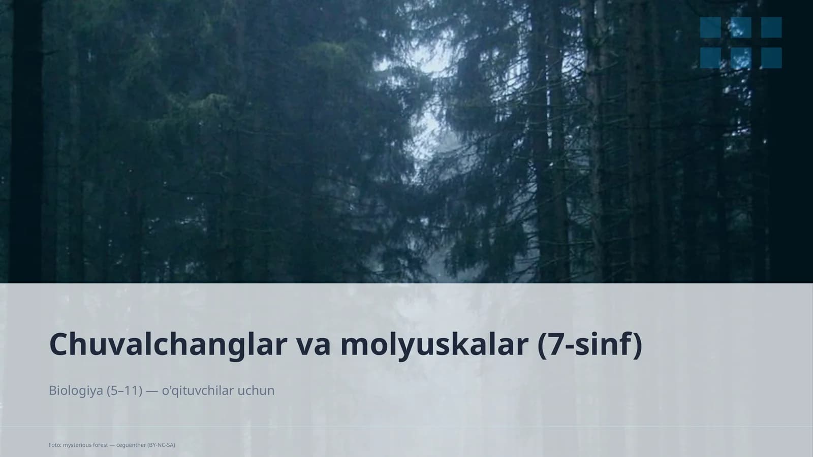 Chuvalchanglar va molyuskalar (7-sinf)
