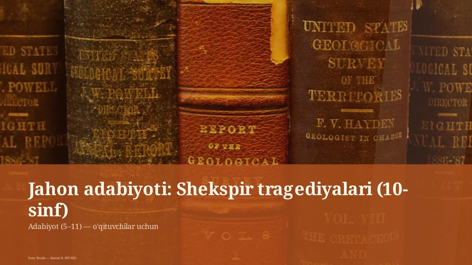 Shekspir tragediyalari (10-sinf)