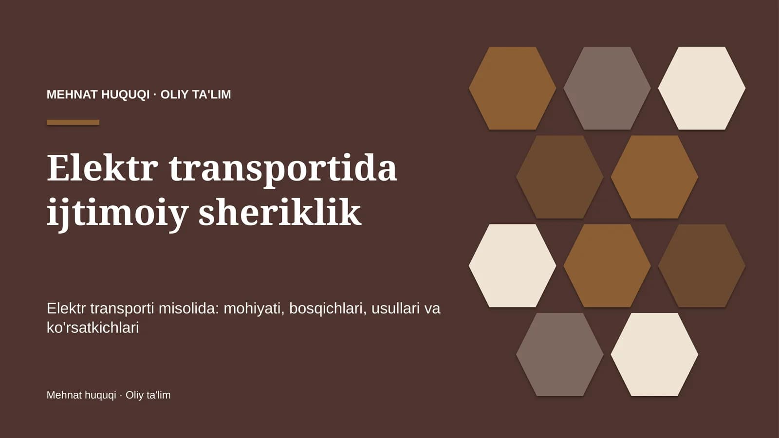 Elektr transportida ijtimoiy sheriklik