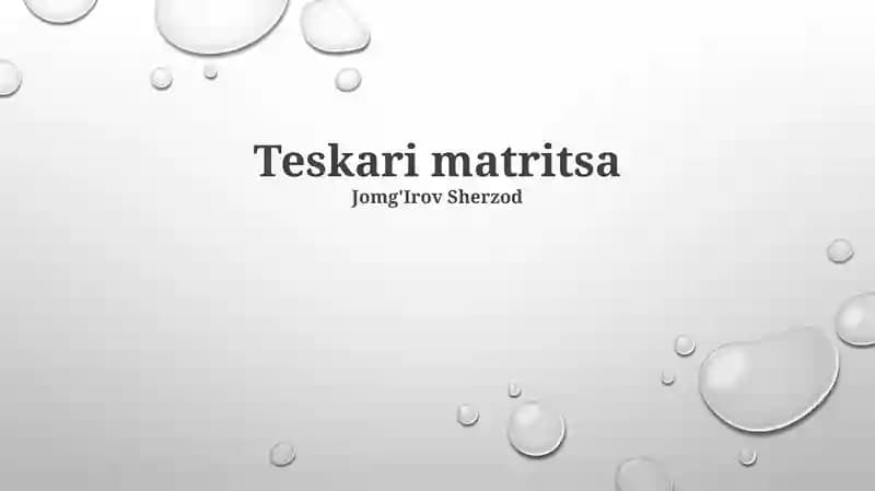 Teskari matritsa