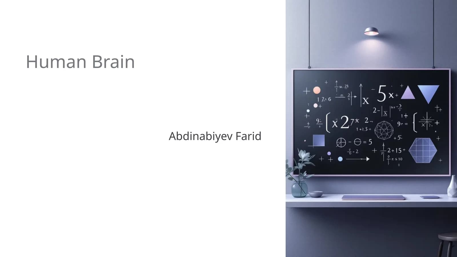 Human Brain