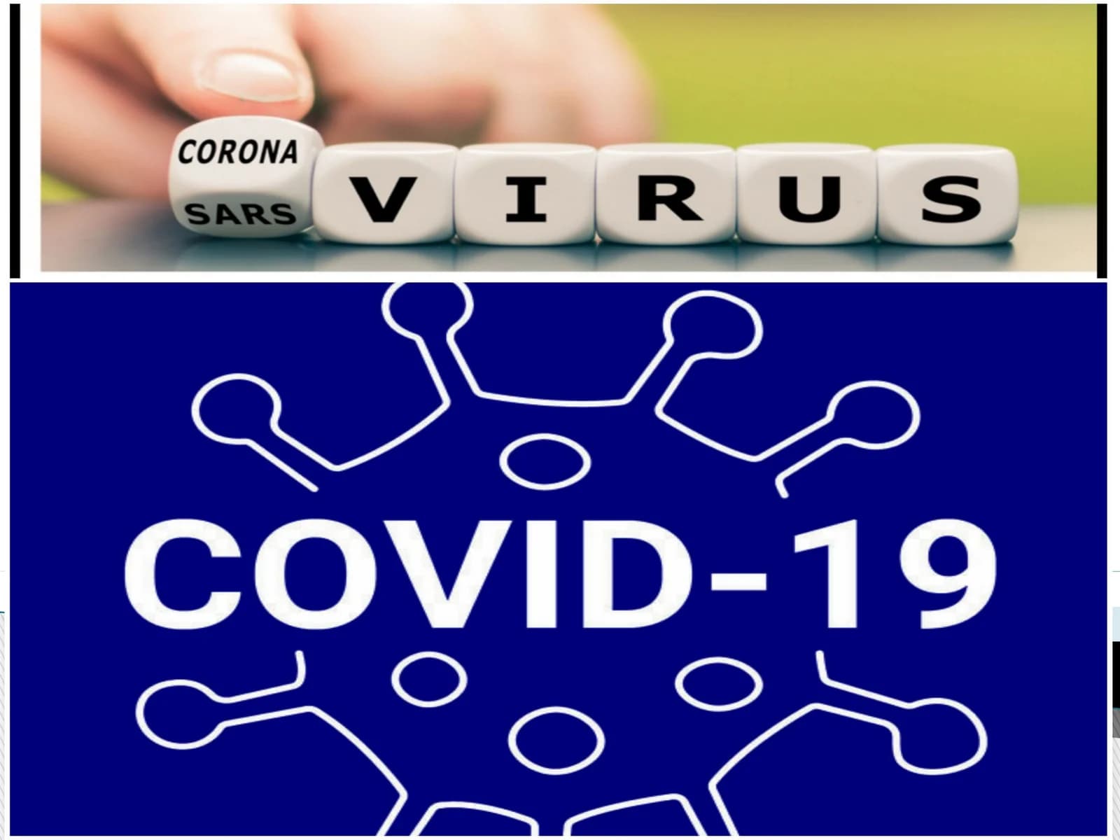 Koronavirus haqida