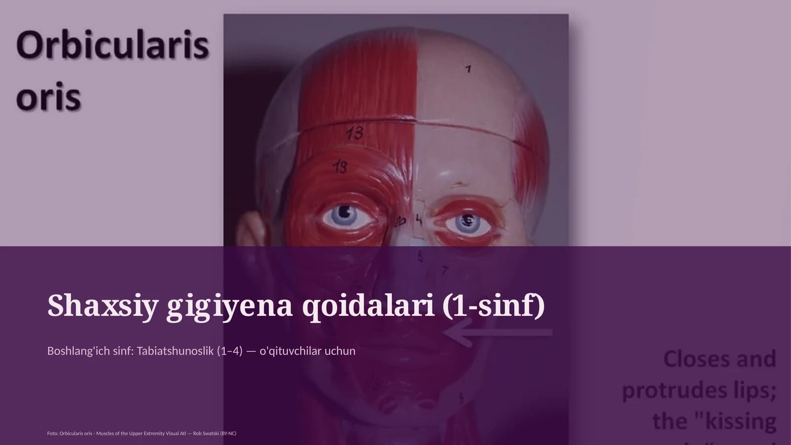 Shaxsiy gigiyena qoidalari (1-sinf)