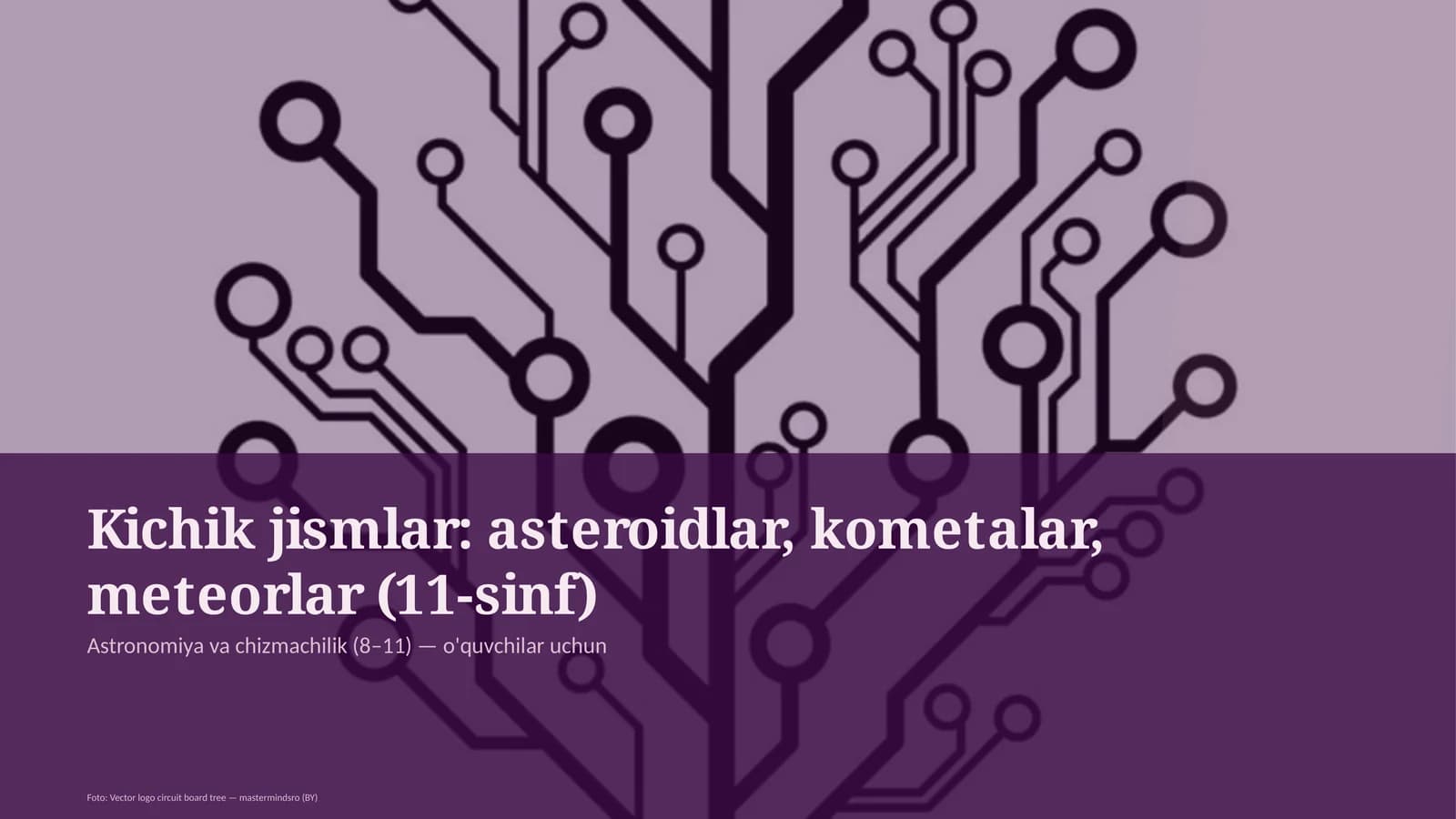 Kichik jismlar: asteroidlar, kometalar, meteorlar (11-sinf)