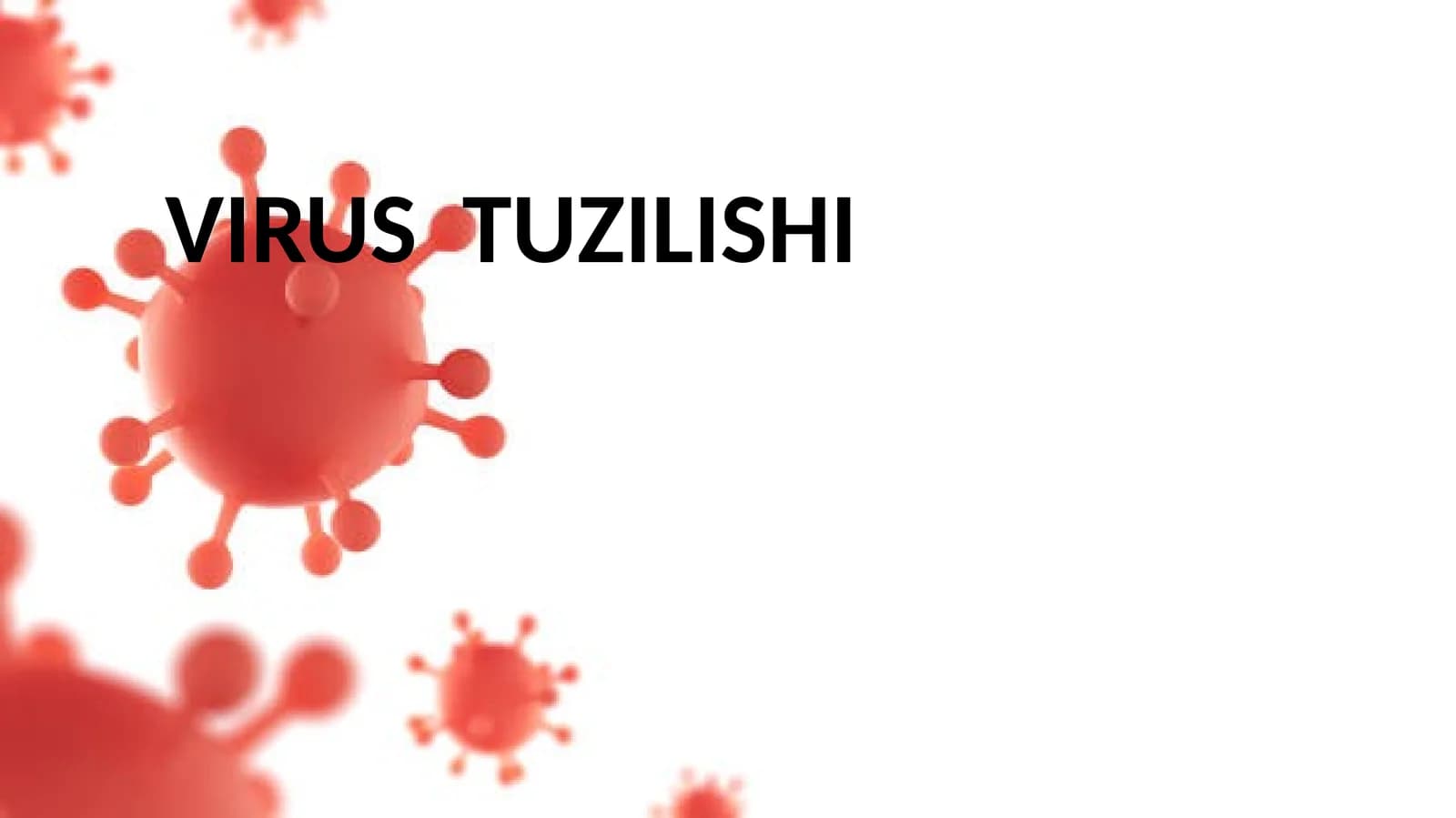 VIRUS  TUZILISHI