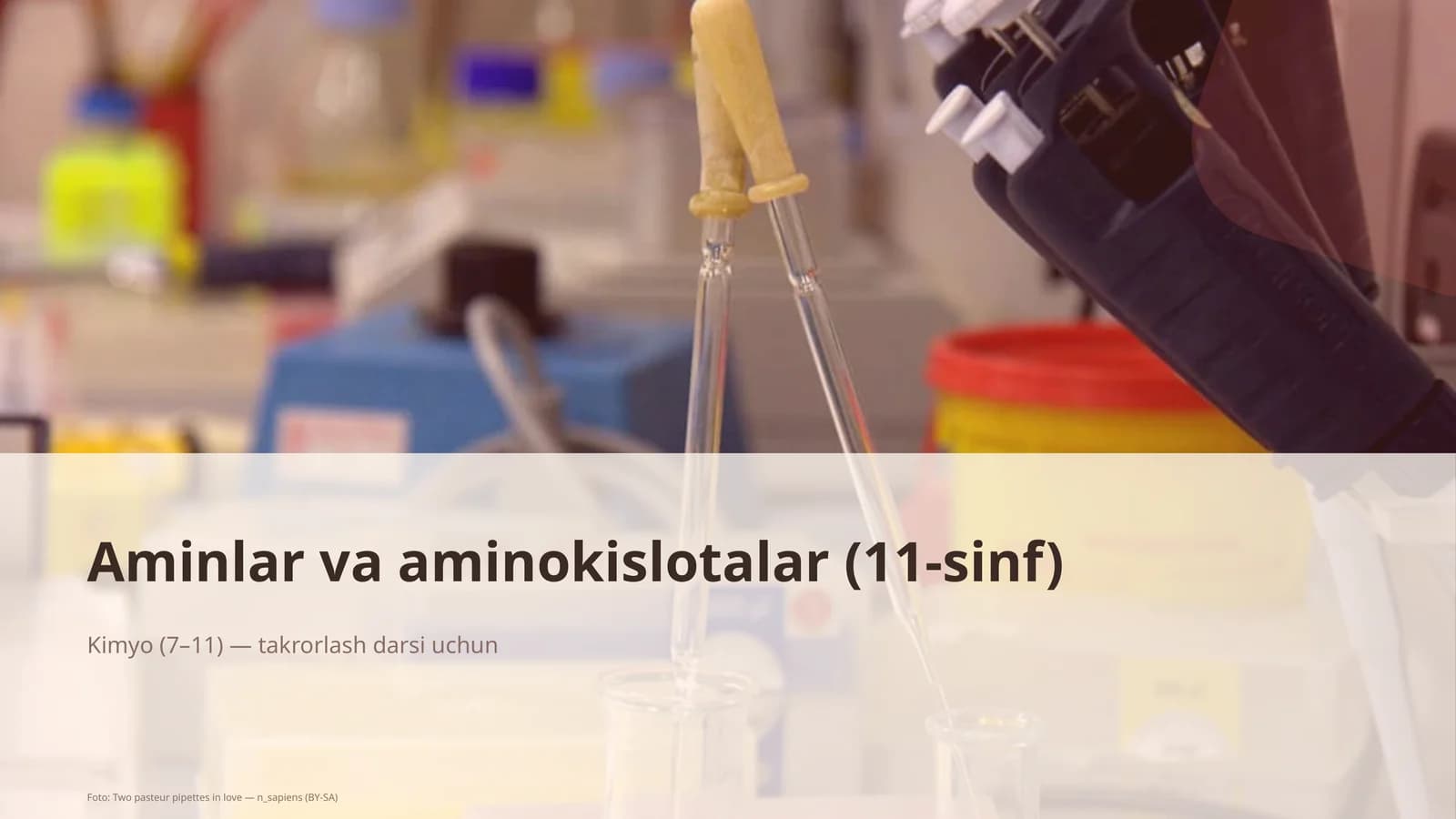 Aminlar va aminokislotalar (11-sinf)