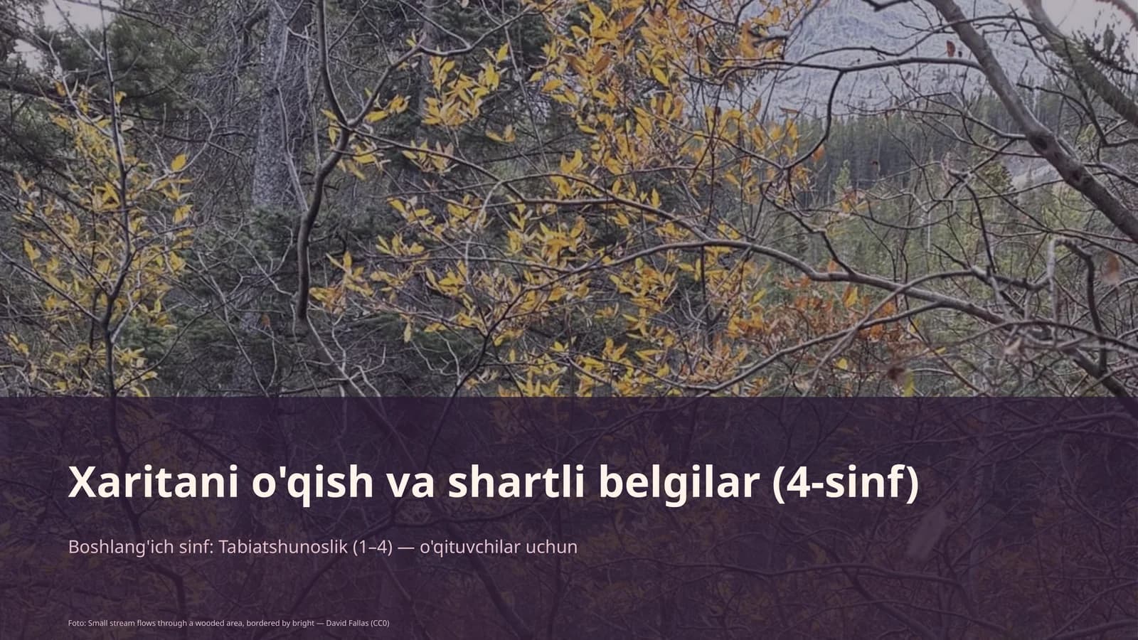 Xaritani o'qish va shartli belgilar (4-sinf)