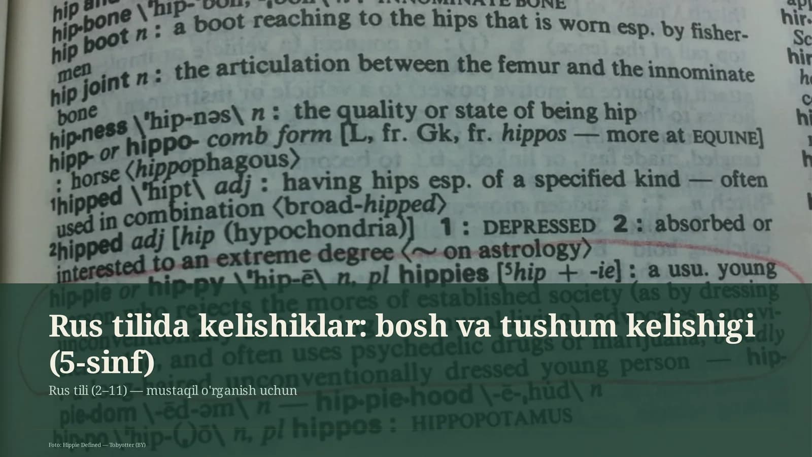 Rus tilida kelishiklar: bosh va tushum kelishigi (5-sinf)