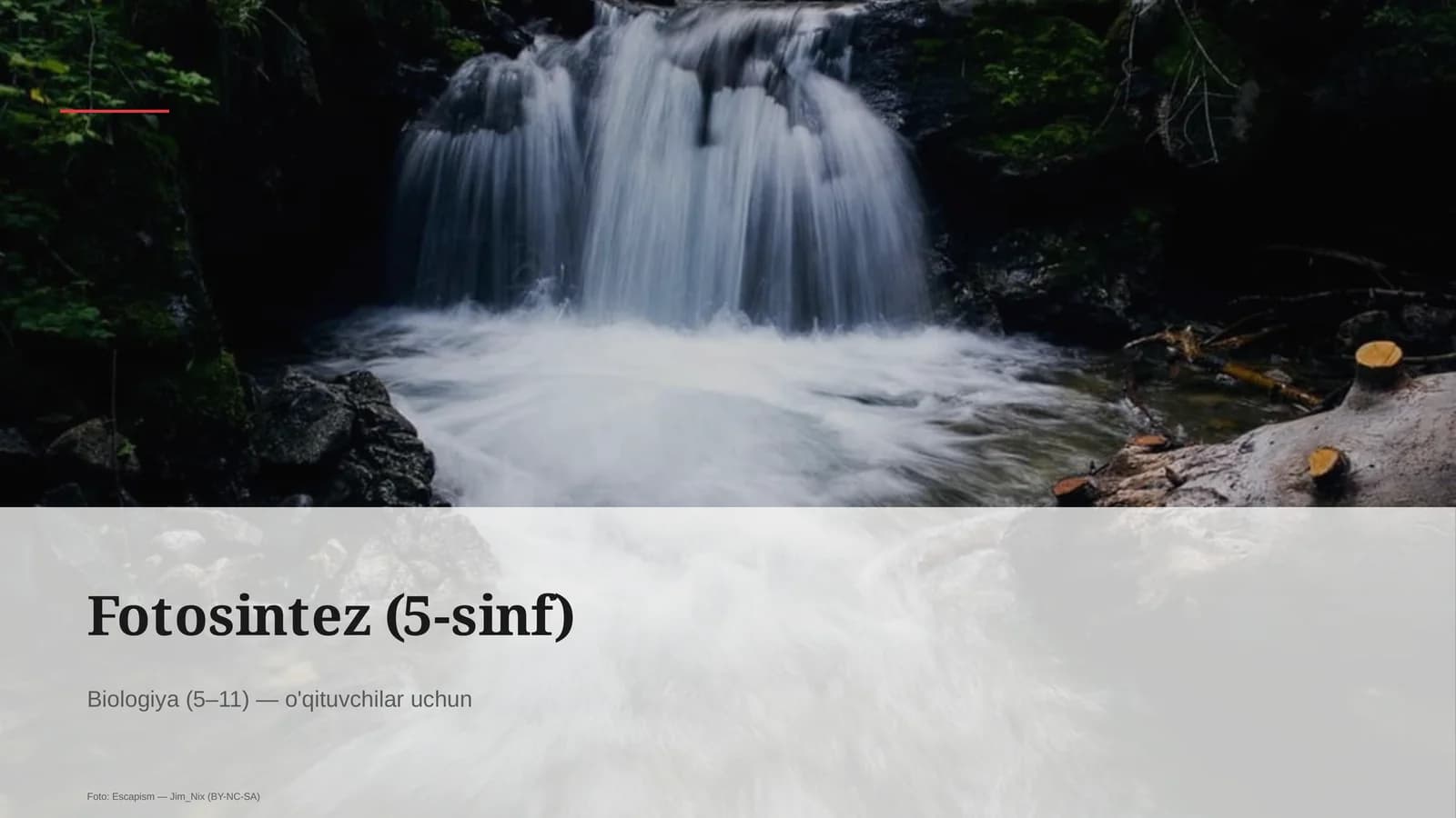 Fotosintez (5-sinf)
