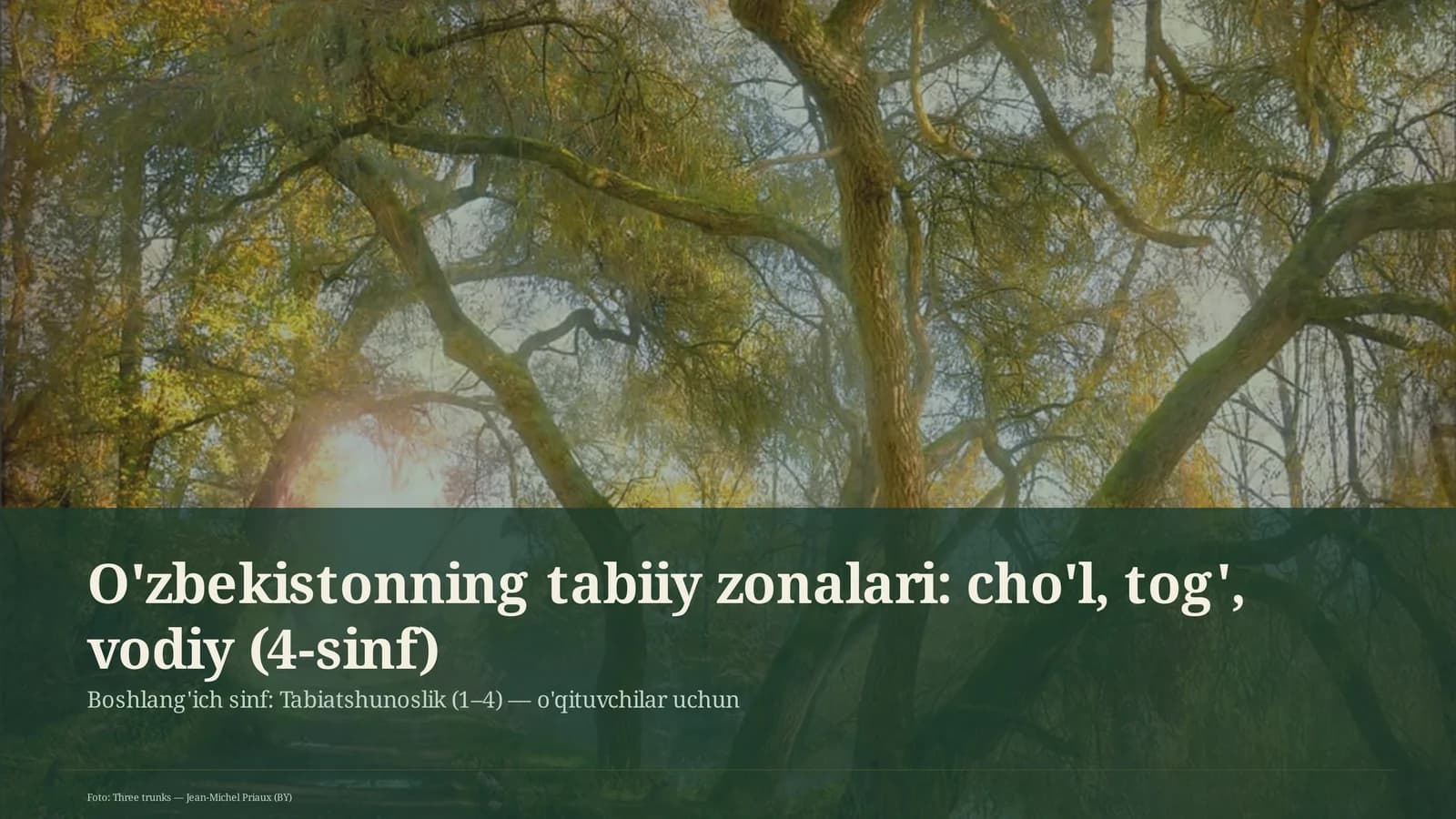 O'zbekistonning tabiiy zonalari: cho'l, tog', vodiy (4-sinf)