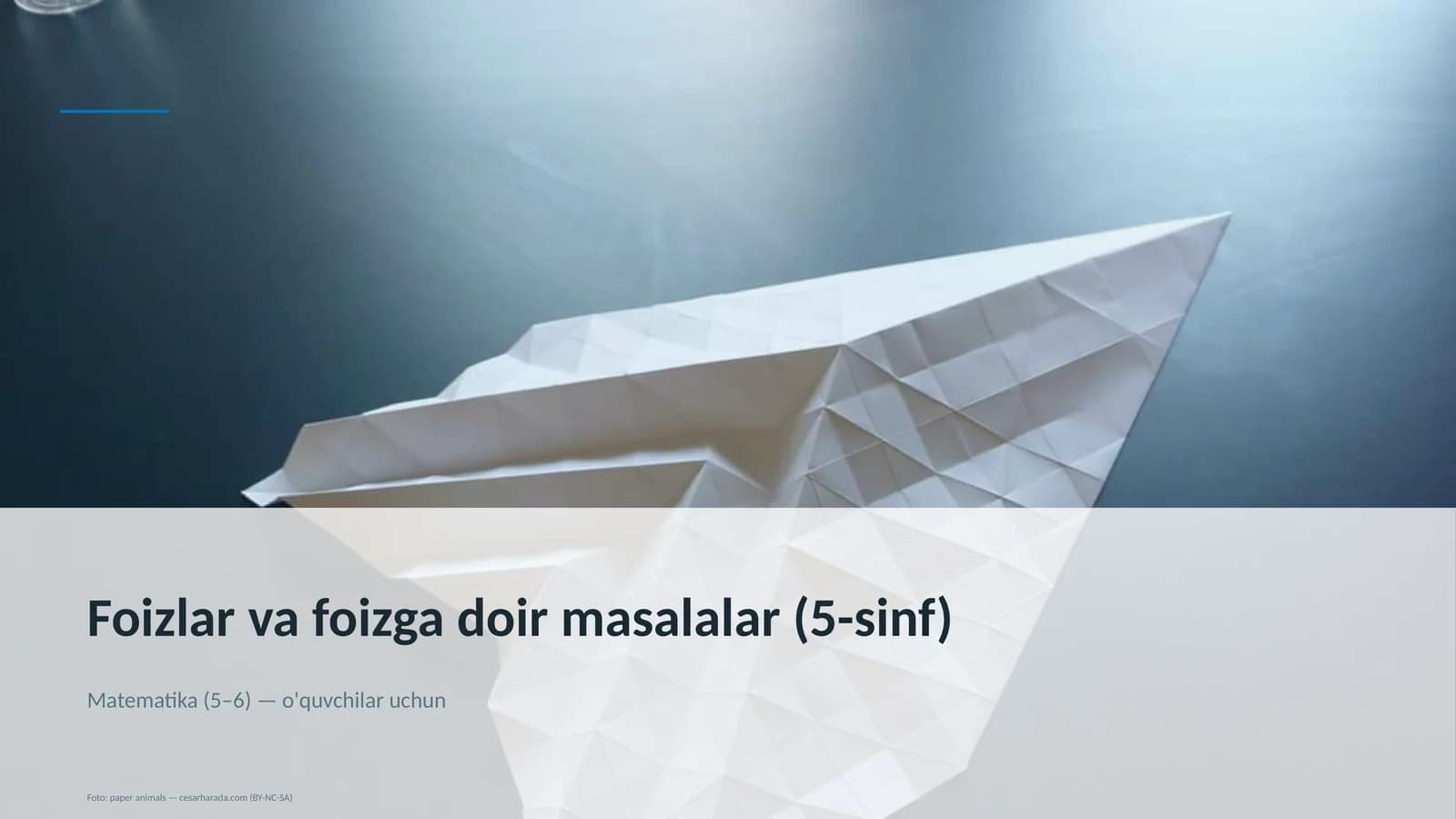 Foizlar va foizga doir masalalar (5-sinf)
