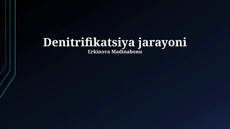 Denitrifikatsiya jarayoni