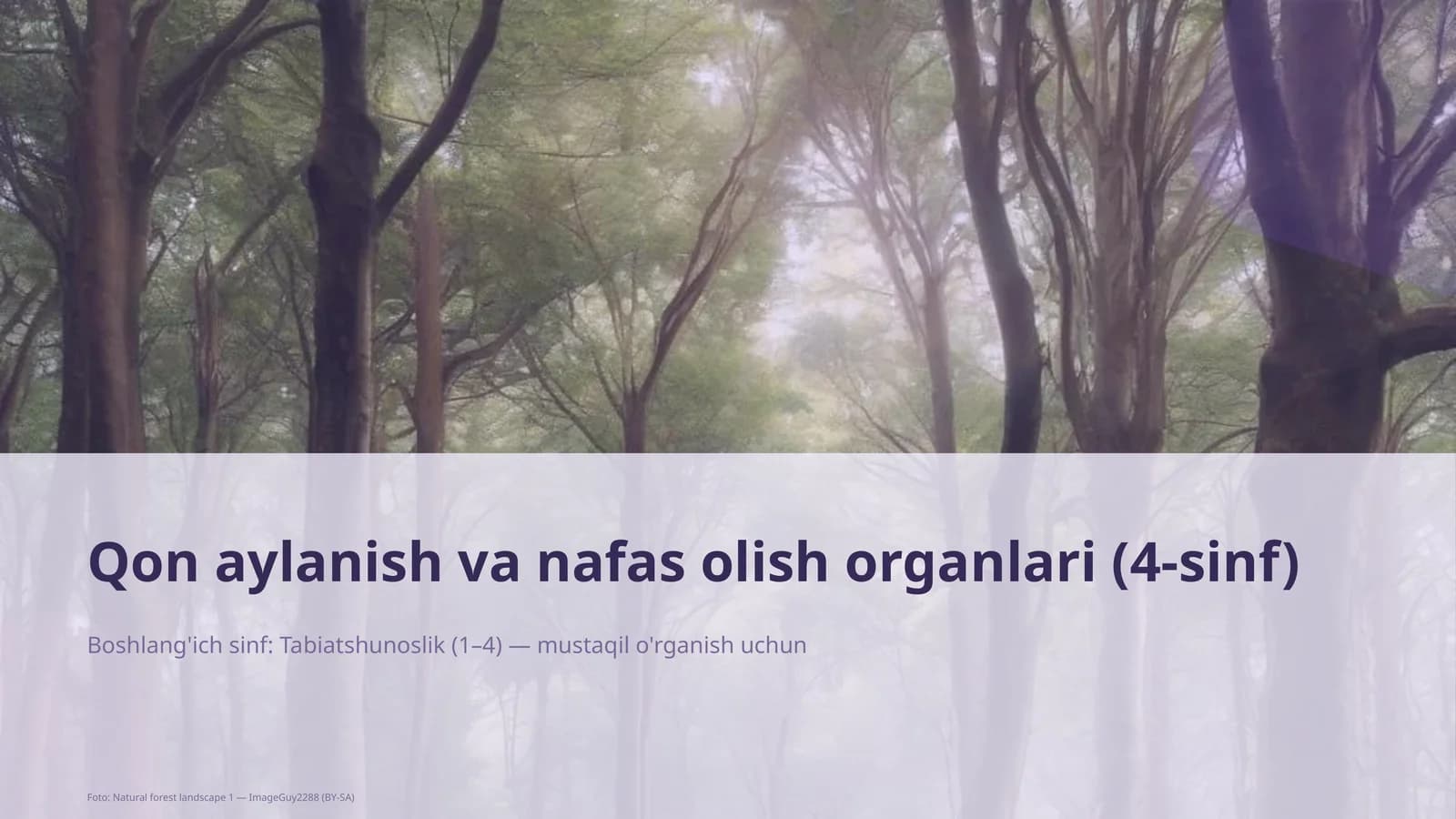 Qon aylanish va nafas olish organlari (4-sinf)