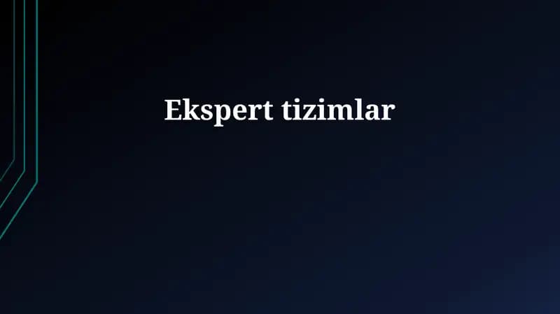 Ekspert tizimlar