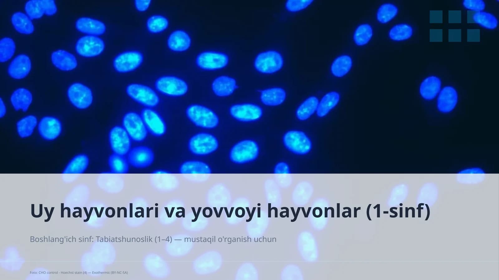 Uy hayvonlari va yovvoyi hayvonlar (1-sinf)
