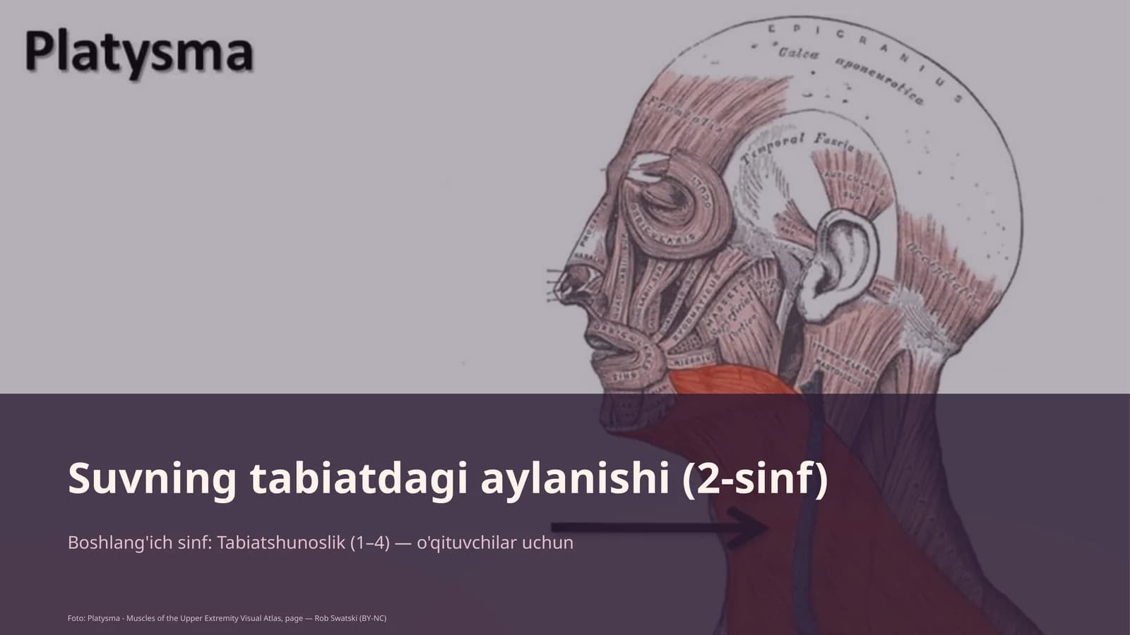 Suvning tabiatdagi aylanishi (2-sinf)