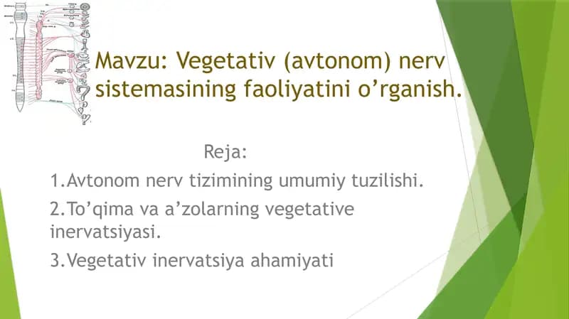 mustaqil ish