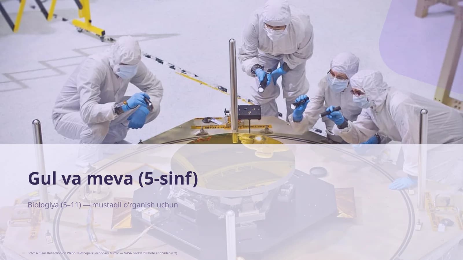 Gul va meva (5-sinf)