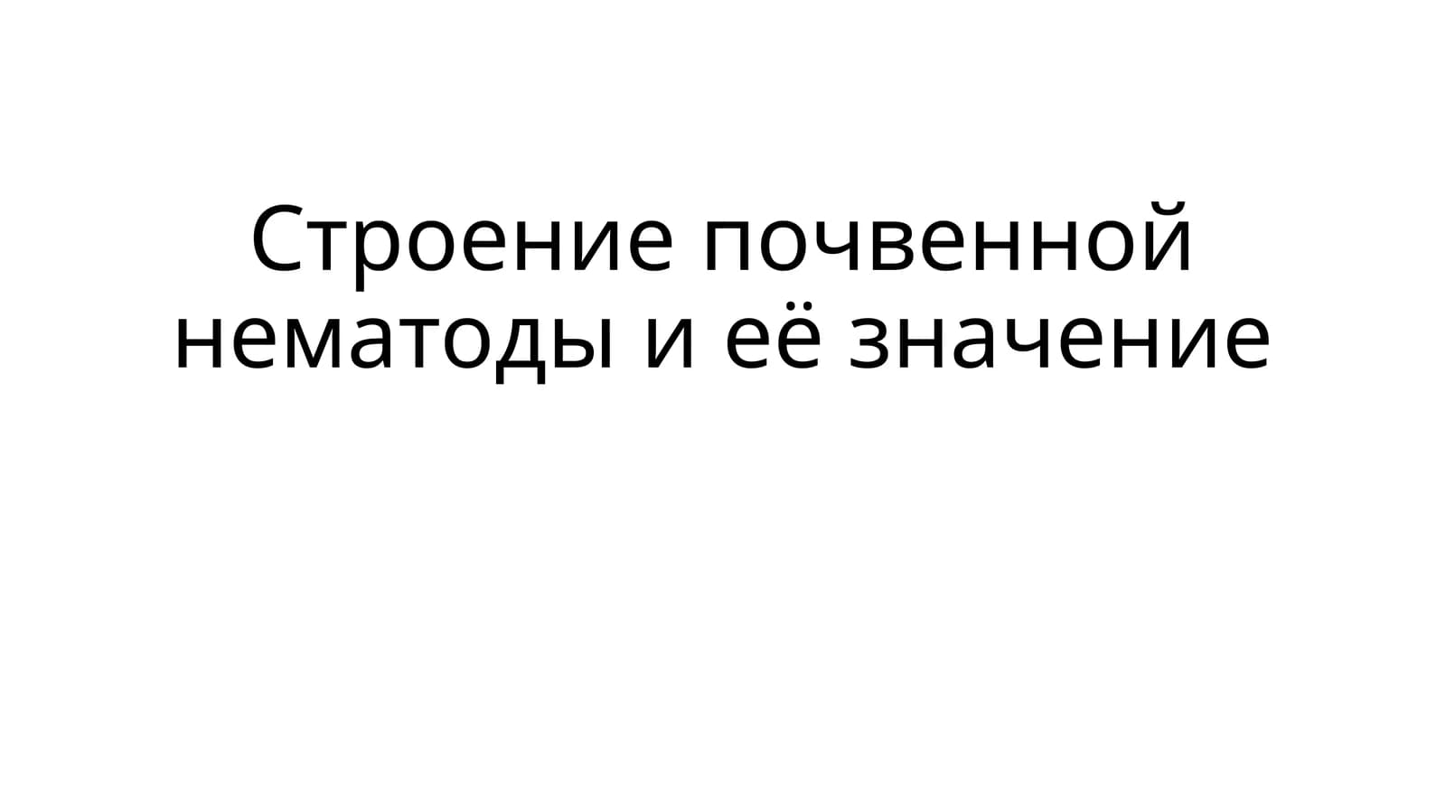 Строение почвенной нематоды и её значение