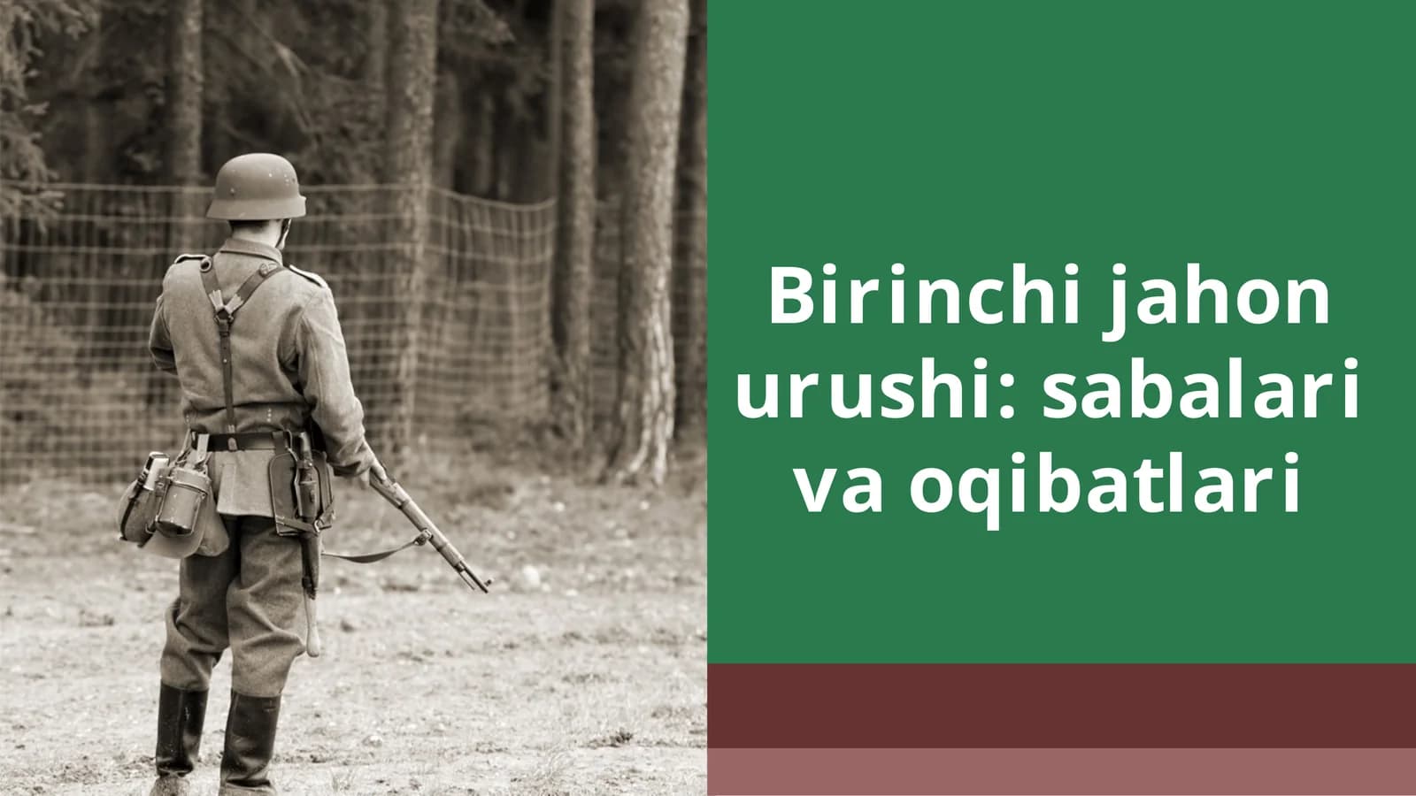 Birinchijahonurushi:sabalarivaoqibatlari