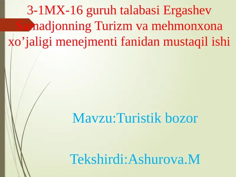 Turistik bozor