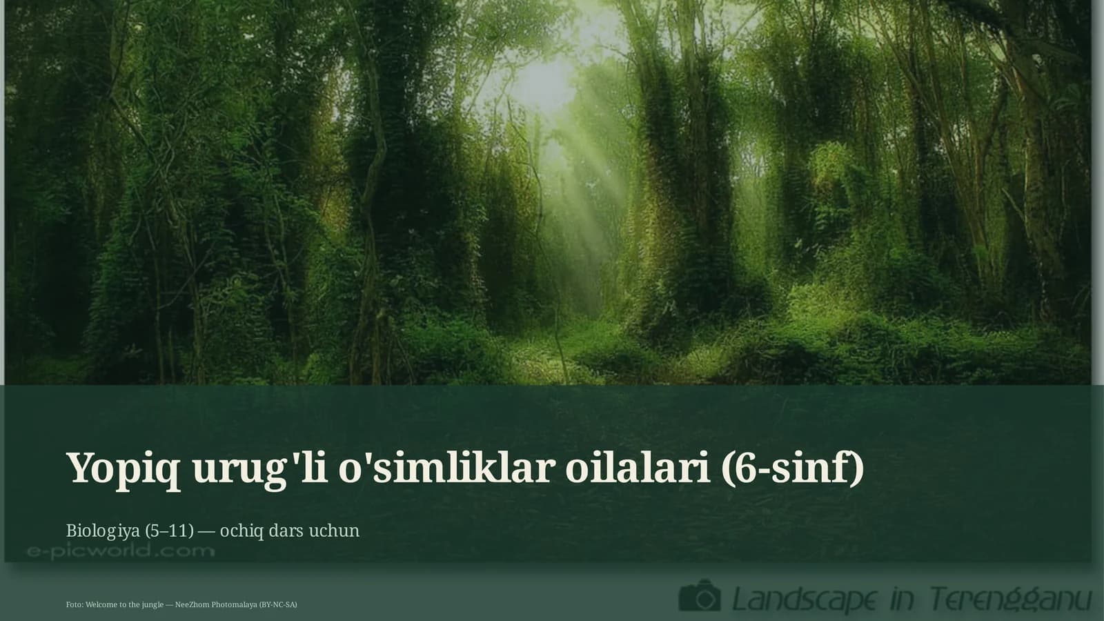 Yopiq urug'li o'simliklar oilalari (6-sinf)