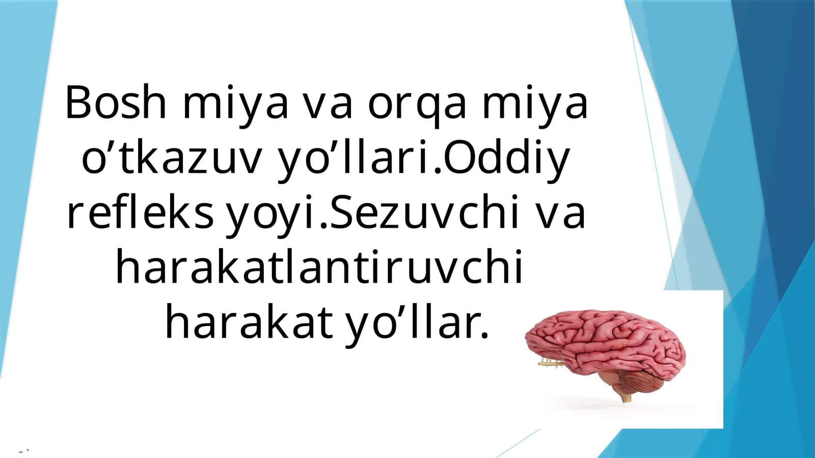 O'tkazuv yo'llari