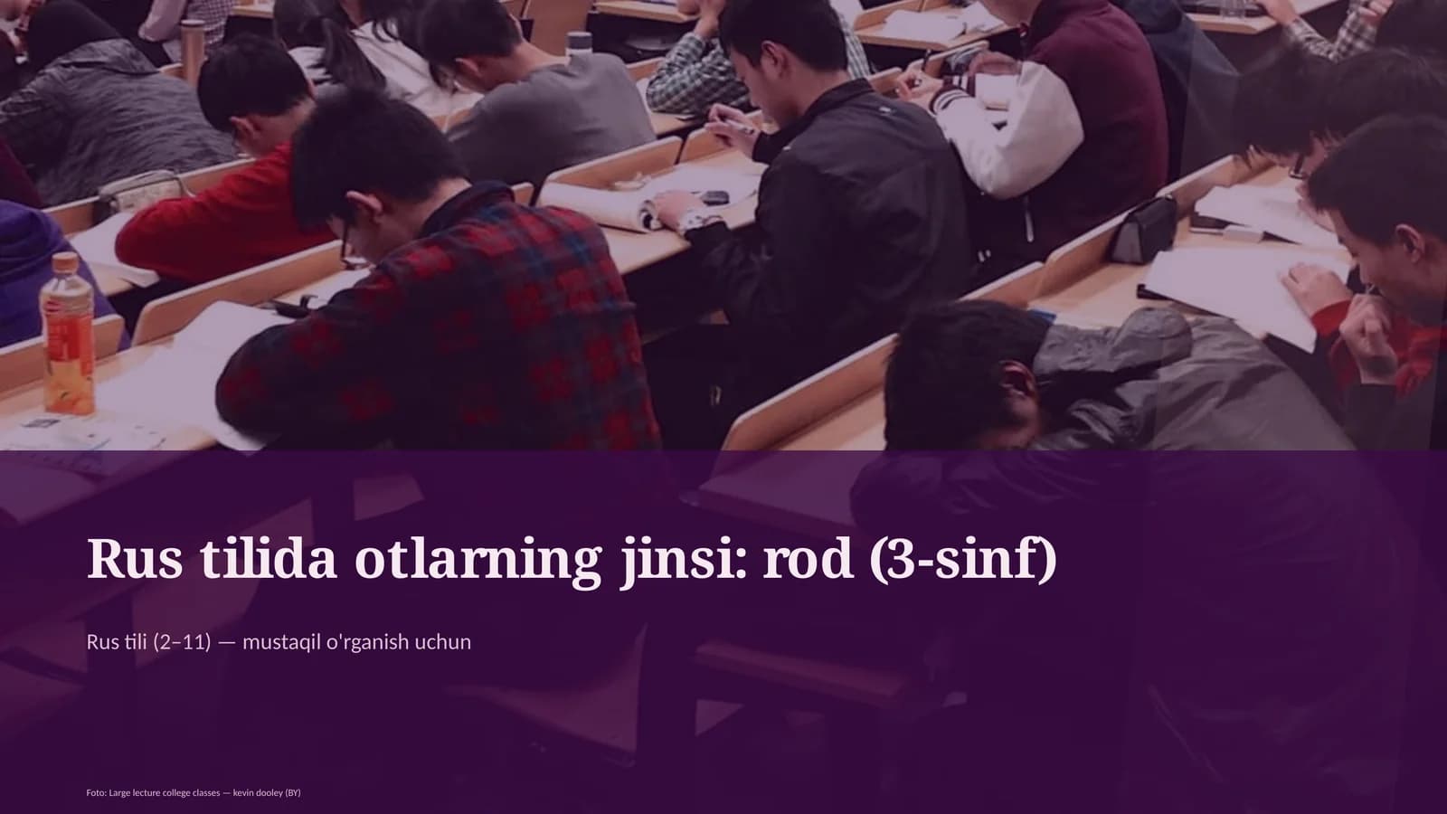 Rus tilida otlarning jinsi: rod (3-sinf)