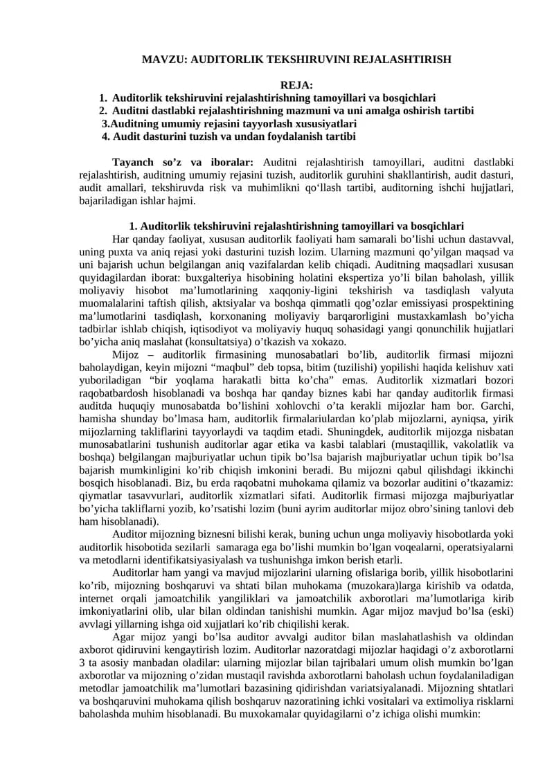 AUDITORLIK TEKSHIRUVINI REJALASHTIRISH