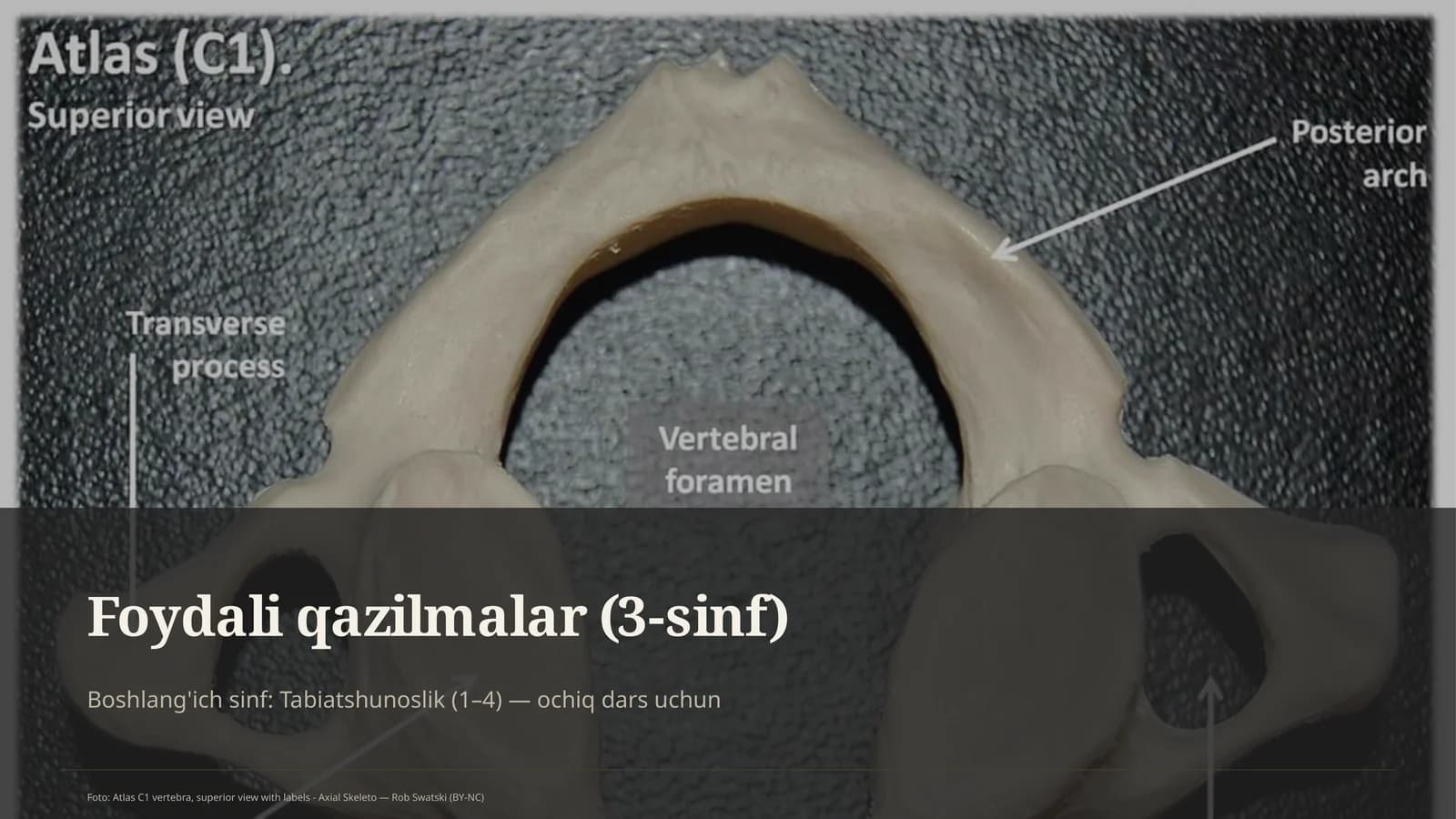 Foydali qazilmalar (3-sinf)