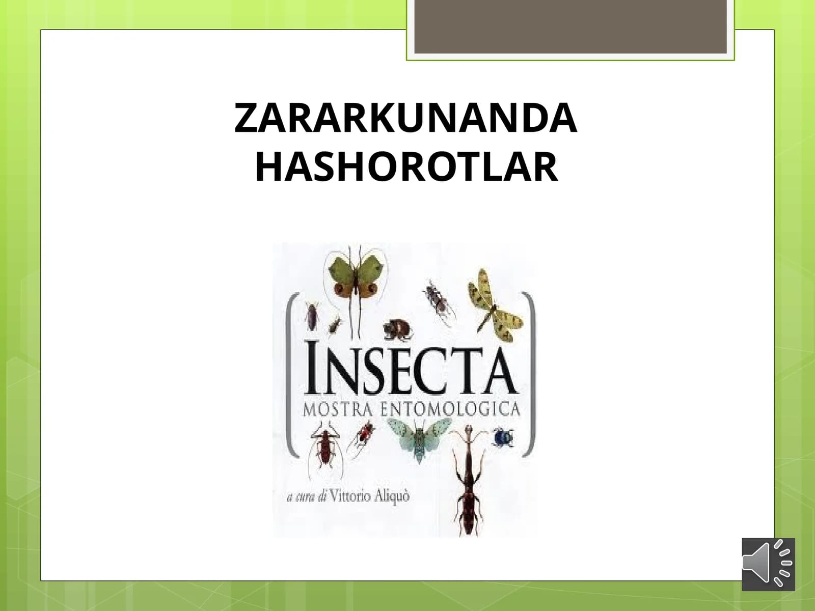 ZARARKUNANDA HASHOROTLAR