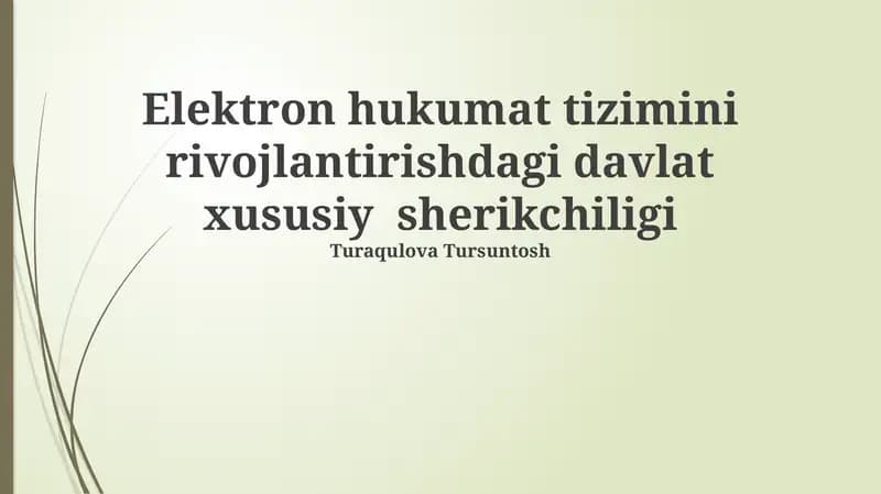Elektron hukumat tizimini rivojlantirishdagi davlat xususiy sherikchiligi