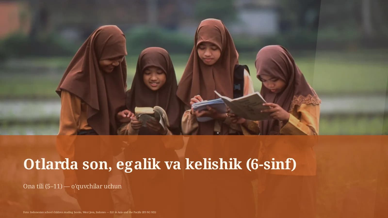 Otlarda son, egalik va kelishik (6-sinf)