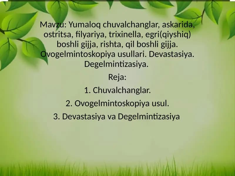 Yumaloq chuvalchanglar, askarida, ostritsa, filyariya, trixinella, egri(qiyshiq) boshli gijja, rishta, qil boshli gijja. Ovogelmintoskopiya usullari. Devastasiya. Degelmintizasiya