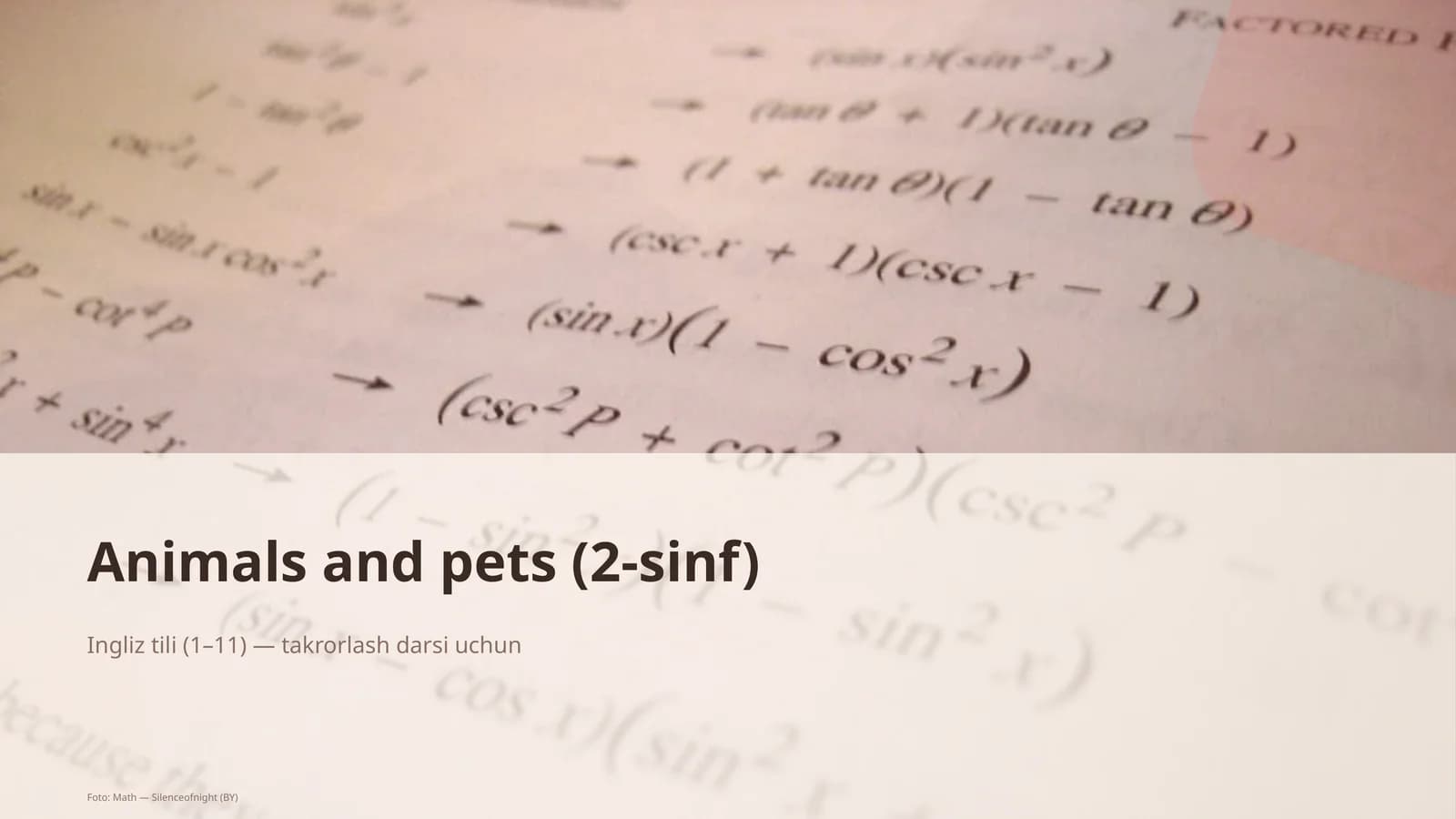 Animals and pets (2-sinf)