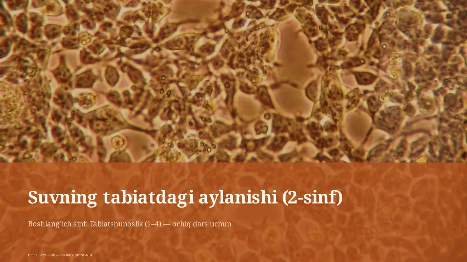 Suvning tabiatdagi aylanishi (2-sinf)