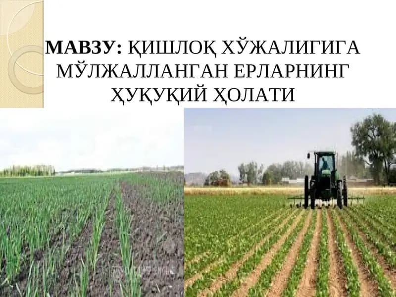 Қишлоқ Хўжалигига Мўлжалланган Ерларнинг Ҳуқуқий Ҳолати