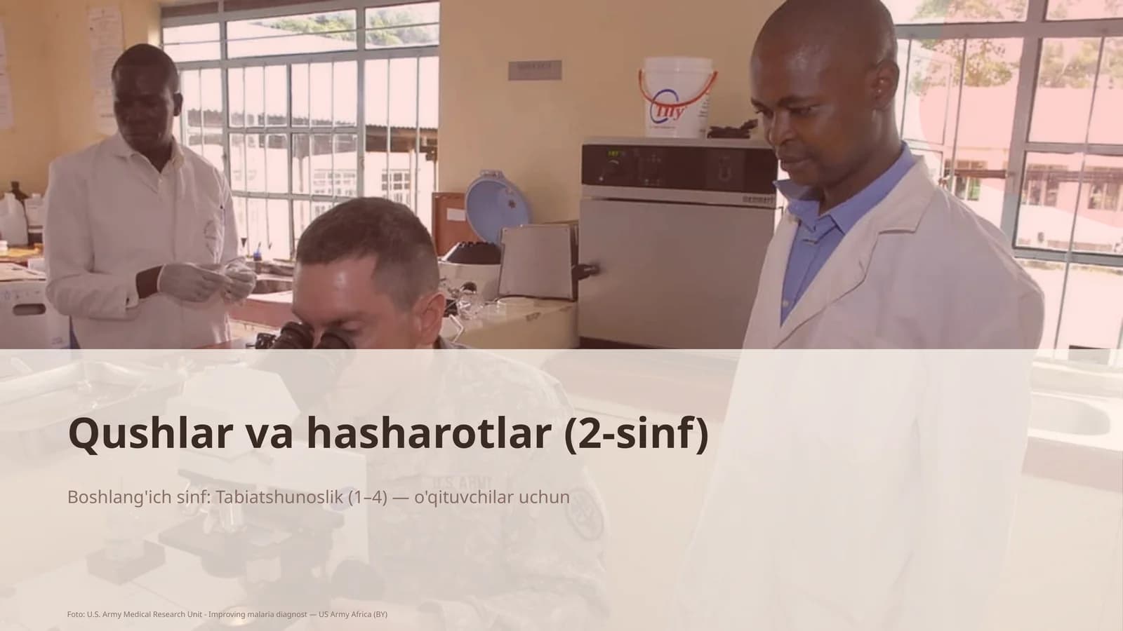 Qushlar va hasharotlar (2-sinf)